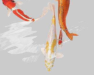 Netflix展示《生化危机》新真人剧集首个视频片段